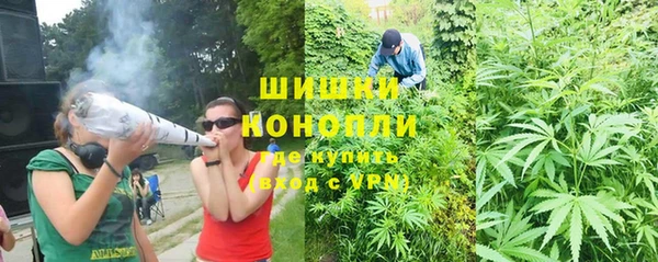 дмт Кукмор