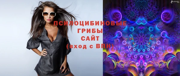 дмт Кукмор
