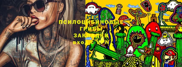дмт Кукмор