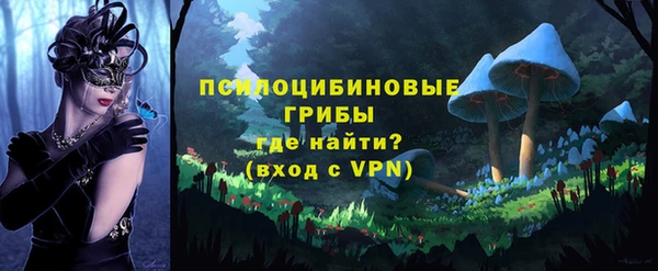 дмт Кукмор