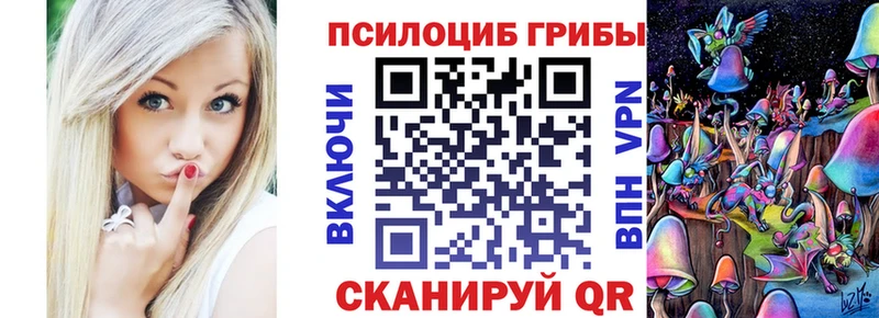 Купить закладки  Набережные Челны  Галлюциногенные грибы Cubensis 